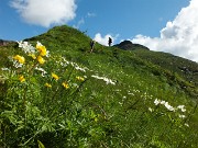 28 Salendo sul sentiero 270A, anemoni narcissiflora e botton d'oro